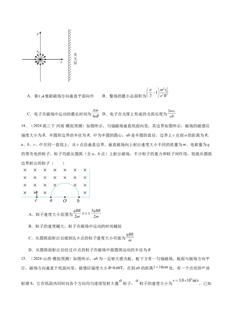 专题10磁场带电粒子在磁场中的运动（练习）（原卷版）_03高考英语_2025年新高考资料_二轮复习_01高考语文等多个文件_上好课2025年高考物理二轮复习讲练测（新高考通用）