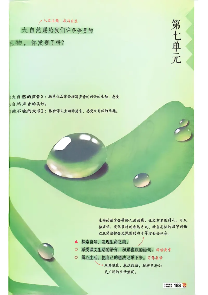 三年级语文人教版上册25秋《教材帮》_25秋《教材帮练习帮》系列_25秋1-5年级语文上册《教材帮》（完整版）_三年级语文人教版上册25秋《教材帮》