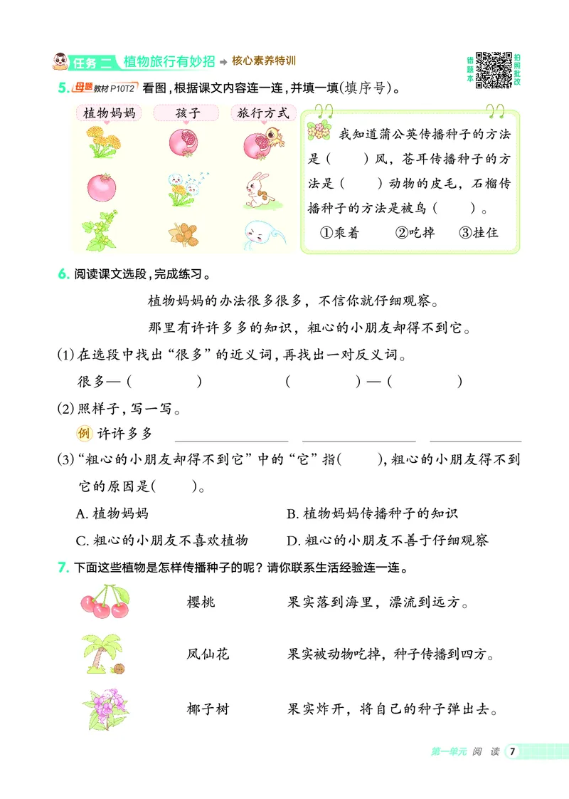 25秋典中点二年级语文上（R版）_25秋《典中点》系列_25秋1-6年级语文上册《典中点》（抢先版）