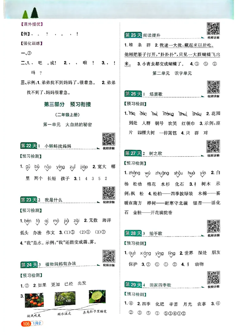 25版《阳光同学暑假衔接》语文1升2-副本_25秋《阳光同学》系列_25年1-6年级语文《阳光同学语文暑假衔接》_1升2
