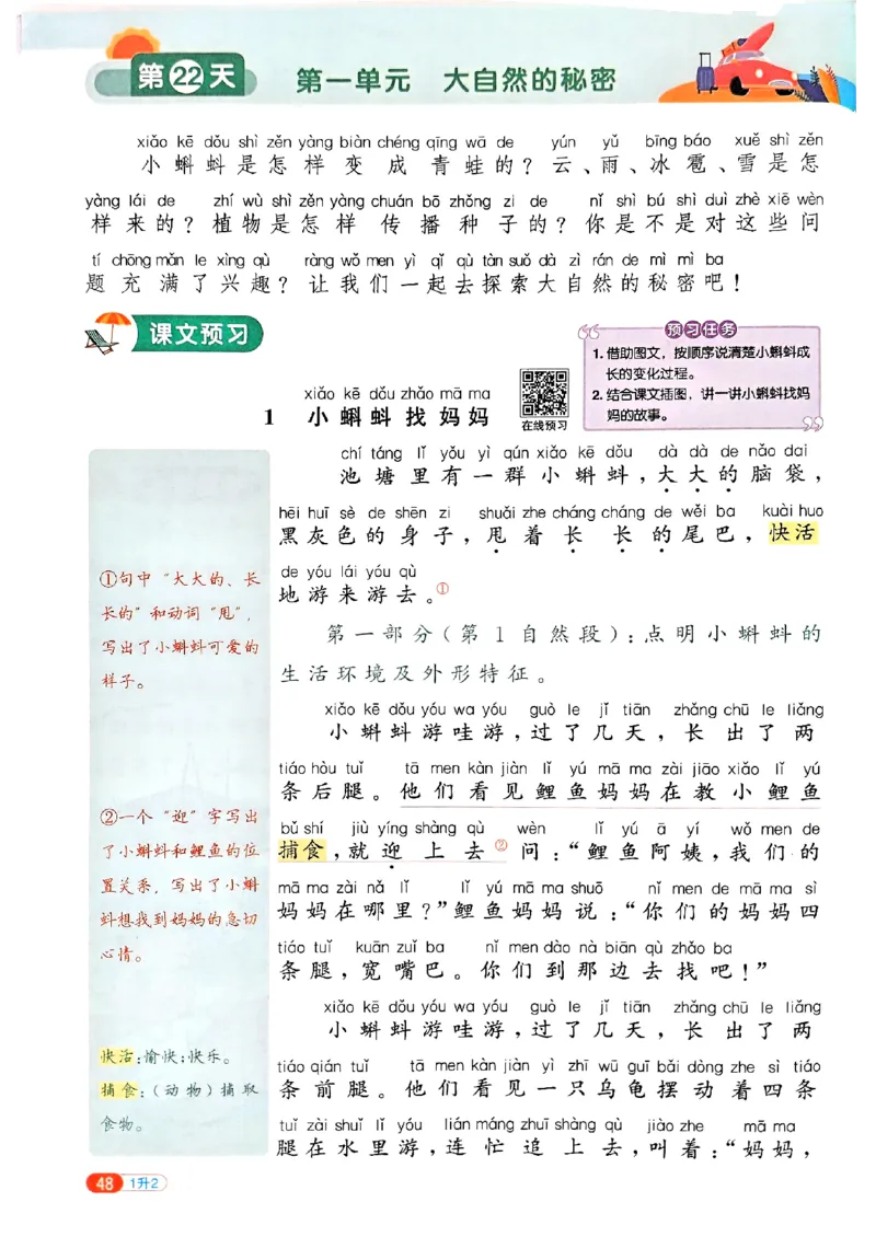 25版《阳光同学暑假衔接》语文1升2-副本_25秋《阳光同学》系列_25年1-6年级语文《阳光同学语文暑假衔接》_1升2