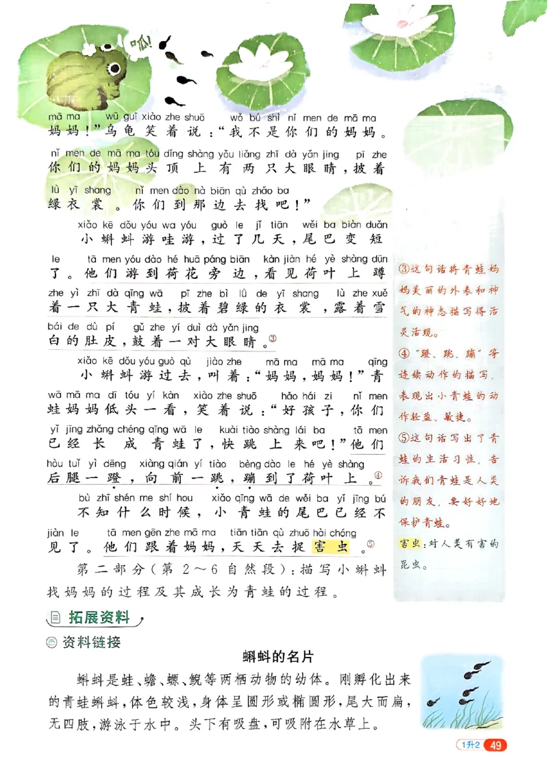 25版《阳光同学暑假衔接》语文1升2-副本_25秋《阳光同学》系列_25年1-6年级语文《阳光同学语文暑假衔接》_1升2