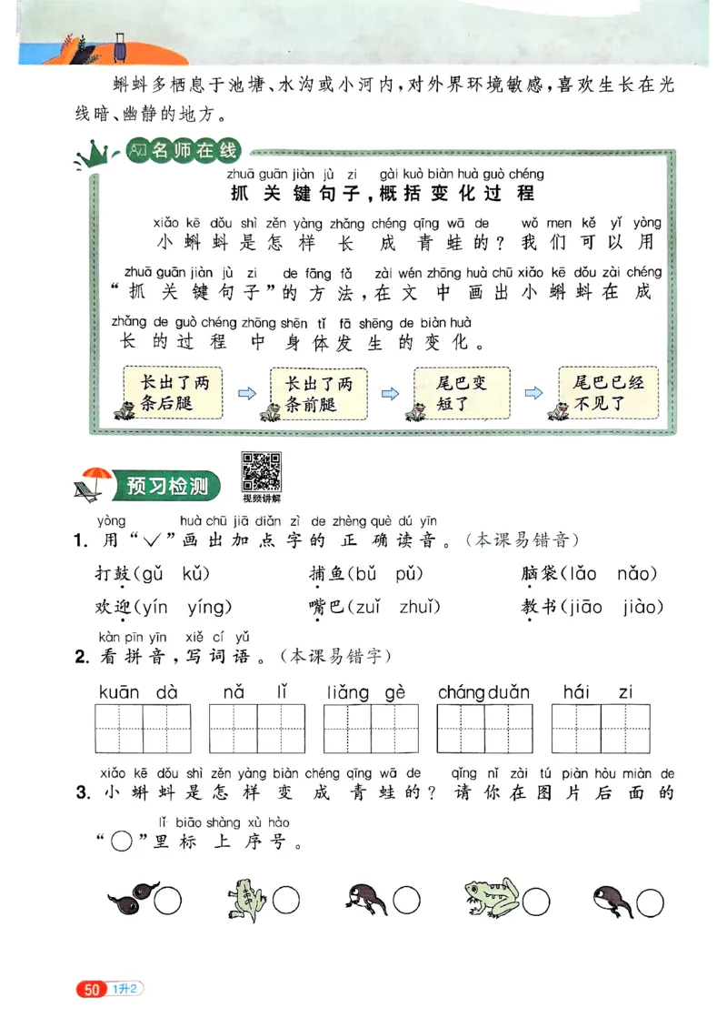 25版《阳光同学暑假衔接》语文1升2-副本_25秋《阳光同学》系列_25年1-6年级语文《阳光同学语文暑假衔接》_1升2