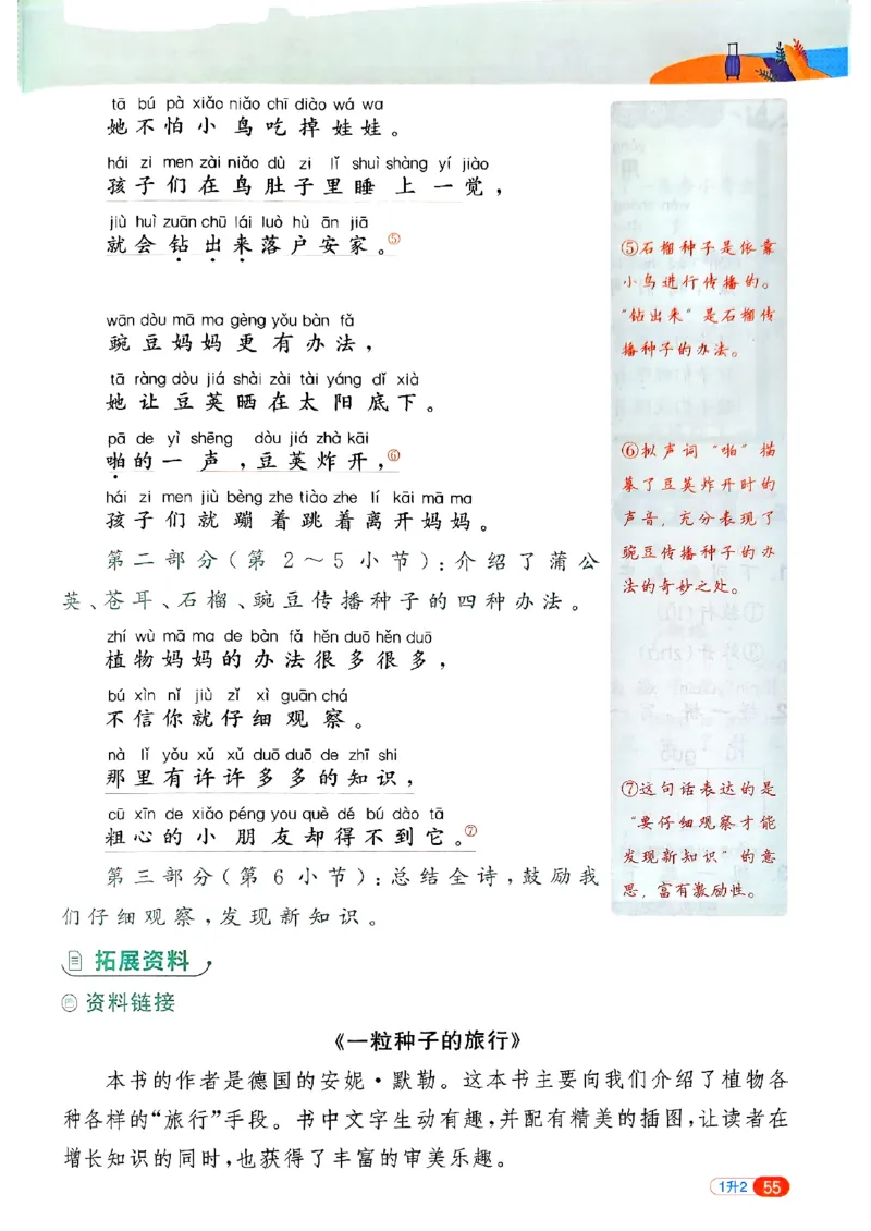 25版《阳光同学暑假衔接》语文1升2-副本_25秋《阳光同学》系列_25年1-6年级语文《阳光同学语文暑假衔接》_1升2