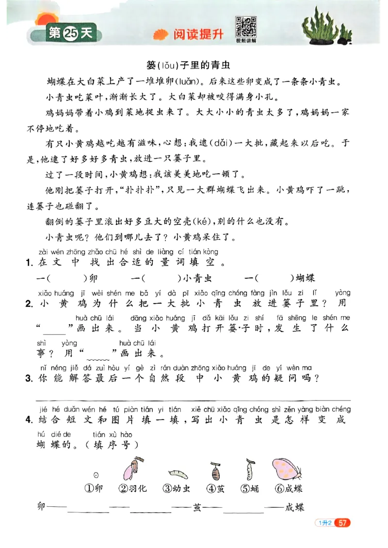 25版《阳光同学暑假衔接》语文1升2-副本_25秋《阳光同学》系列_25年1-6年级语文《阳光同学语文暑假衔接》_1升2