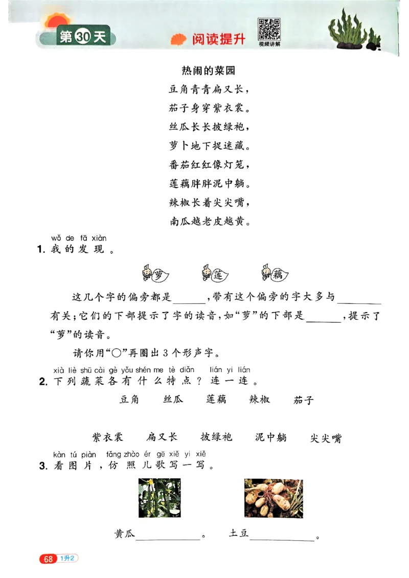 25版《阳光同学暑假衔接》语文1升2-副本_25秋《阳光同学》系列_25年1-6年级语文《阳光同学语文暑假衔接》_1升2