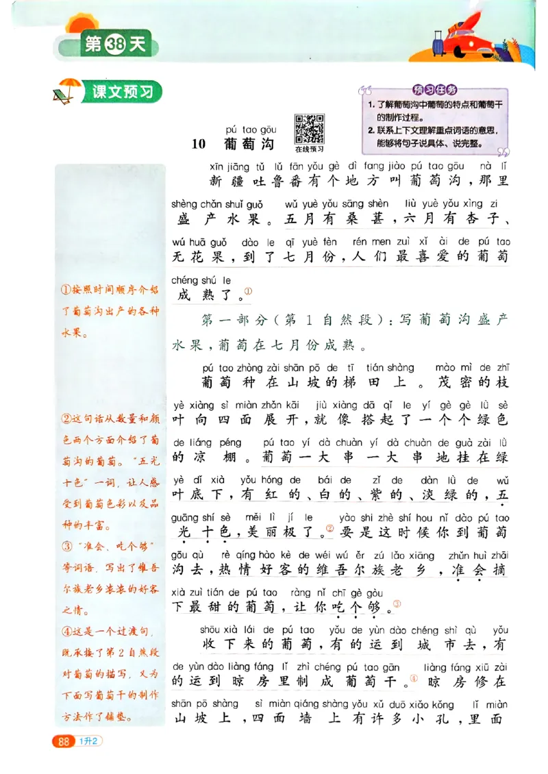 25版《阳光同学暑假衔接》语文1升2-副本_25秋《阳光同学》系列_25年1-6年级语文《阳光同学语文暑假衔接》_1升2