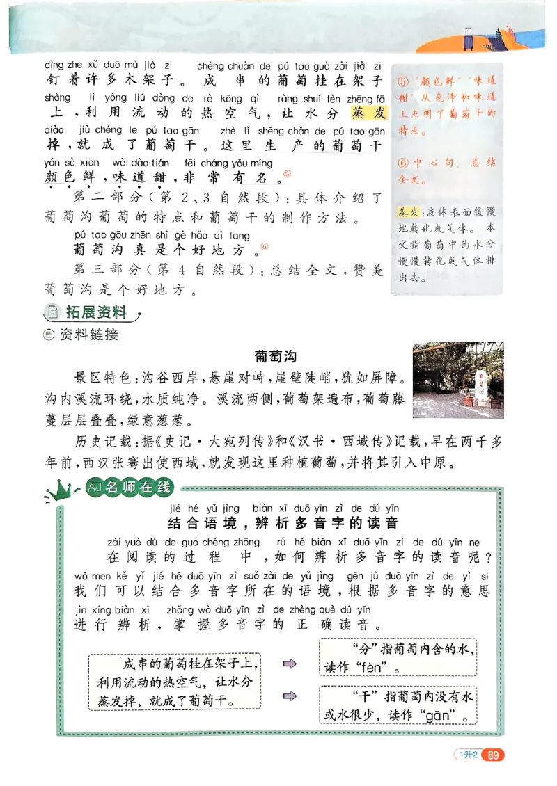 25版《阳光同学暑假衔接》语文1升2-副本_25秋《阳光同学》系列_25年1-6年级语文《阳光同学语文暑假衔接》_1升2