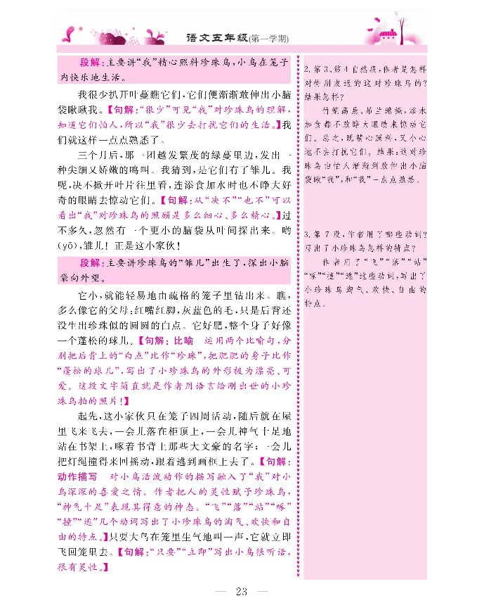 新教材完全解读语文5年级上_《教材全解》小学1-6年级_《新教材完全解读》_小学语文