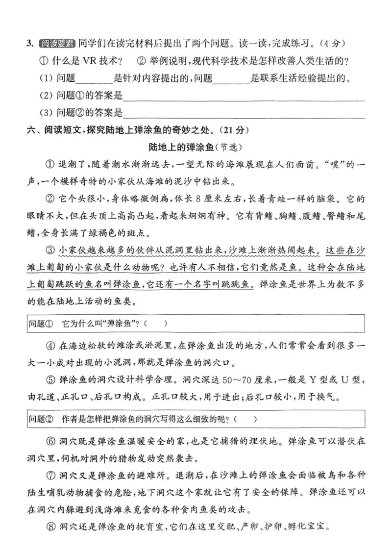 四年级语文人教版上册25秋《拔尖特训》拔尖测评_25秋《拔尖特训》小学语数英各版本_1-6年级语文人教版上册25秋《拔尖特训》_四年级语文人教版上册25秋《拔尖特训》