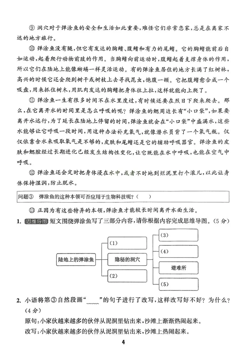 四年级语文人教版上册25秋《拔尖特训》拔尖测评_25秋《拔尖特训》小学语数英各版本_1-6年级语文人教版上册25秋《拔尖特训》_四年级语文人教版上册25秋《拔尖特训》