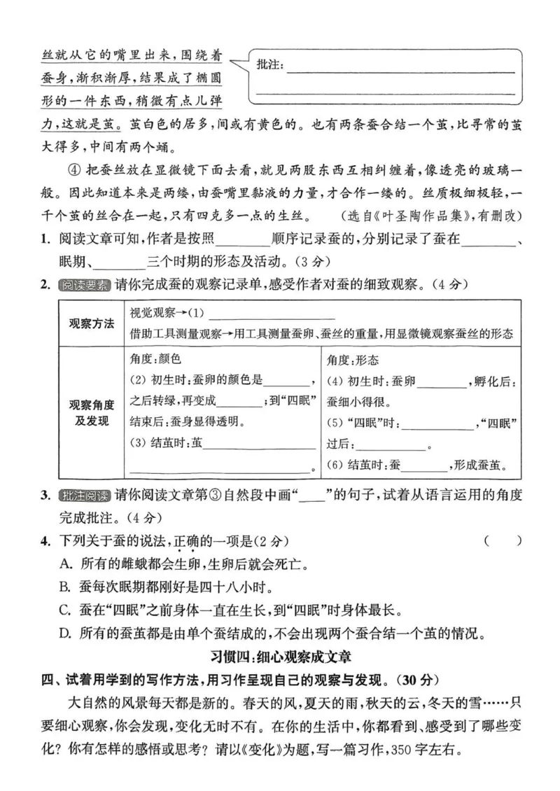 四年级语文人教版上册25秋《拔尖特训》拔尖测评_25秋《拔尖特训》小学语数英各版本_1-6年级语文人教版上册25秋《拔尖特训》_四年级语文人教版上册25秋《拔尖特训》