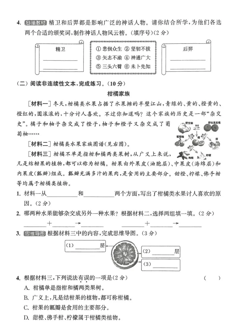 四年级语文人教版上册25秋《拔尖特训》拔尖测评_25秋《拔尖特训》小学语数英各版本_1-6年级语文人教版上册25秋《拔尖特训》_四年级语文人教版上册25秋《拔尖特训》