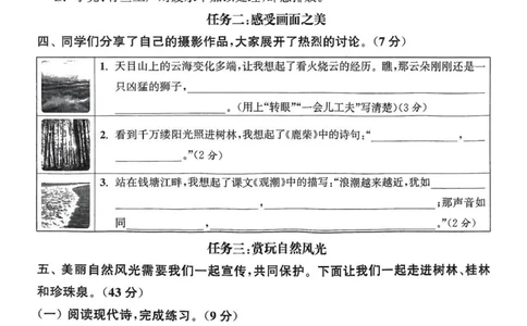 四年级语文人教版上册25秋《拔尖特训》拔尖测评_25秋《拔尖特训》小学语数英各版本_1-6年级语文人教版上册25秋《拔尖特训》_四年级语文人教版上册25秋《拔尖特训》