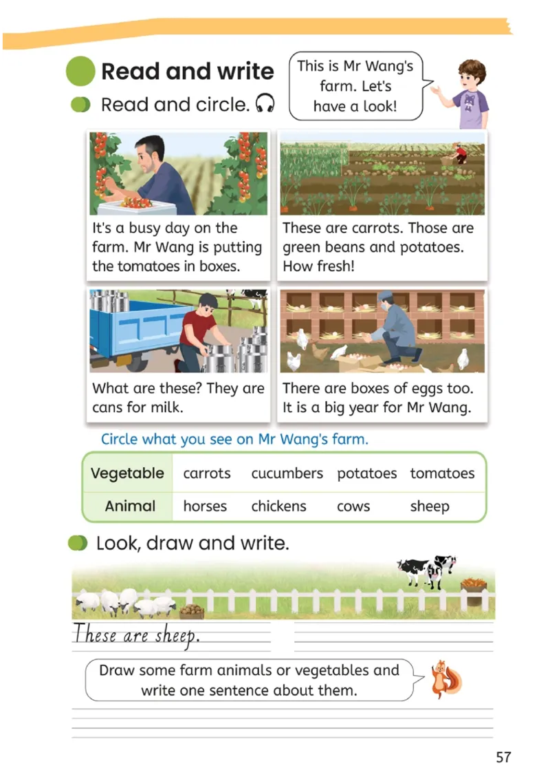 2026春新版PEP四年级下册正式版_4下-新英语人教PEP版（2026持续更新）