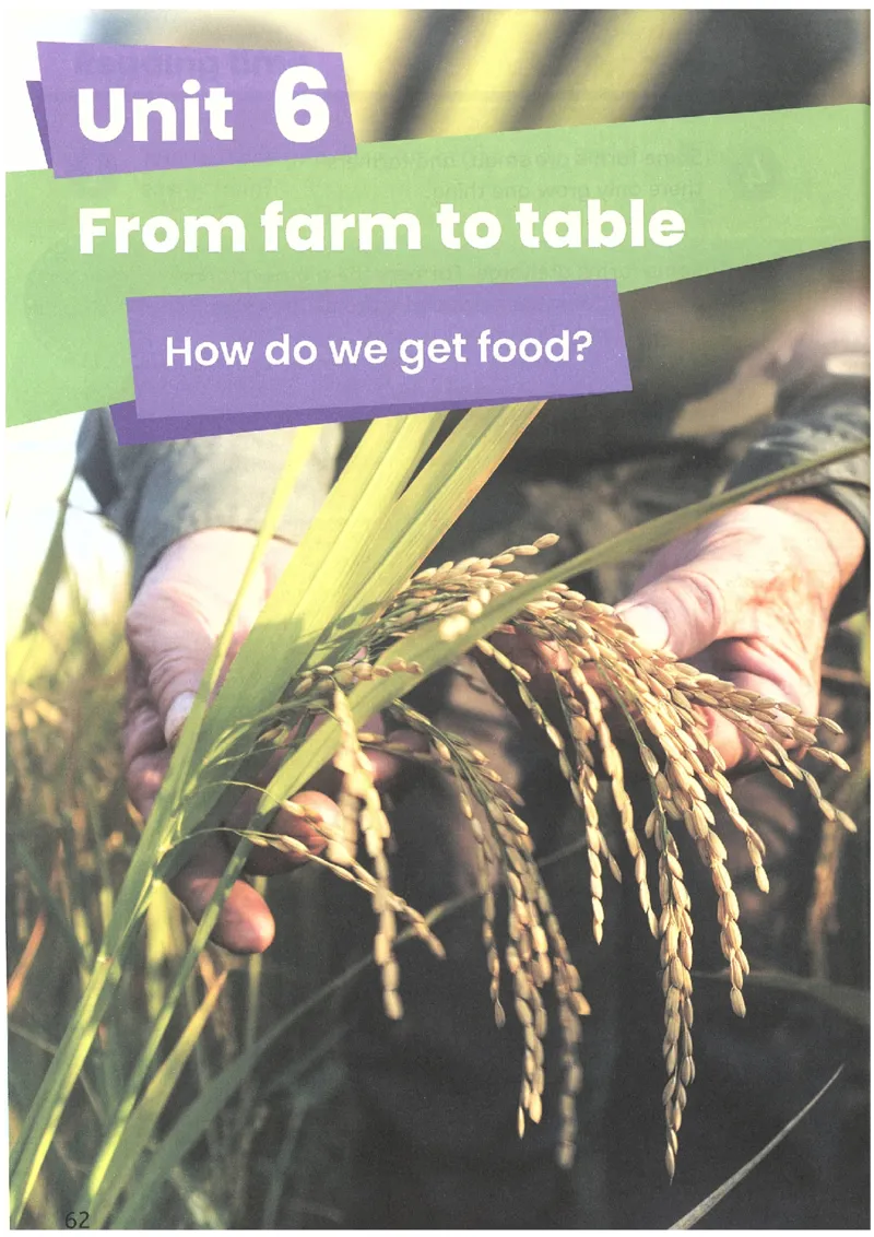 2026春新版PEP四年级下册正式版_4下-新英语人教PEP版（2026持续更新）