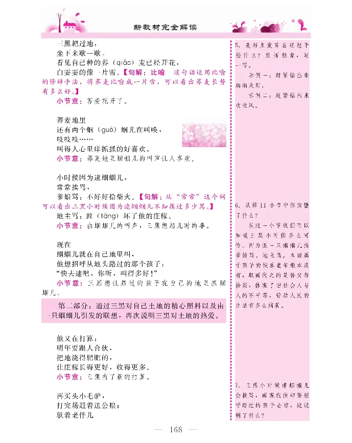 新教材完全解读语文6年级上_《教材全解》小学1-6年级_《新教材完全解读》_小学语文