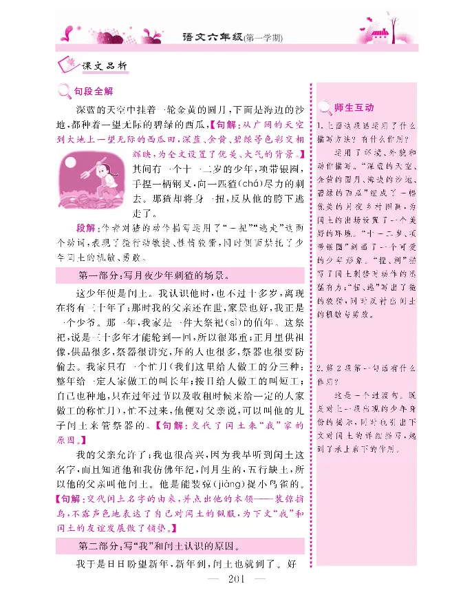 新教材完全解读语文6年级上_《教材全解》小学1-6年级_《新教材完全解读》_小学语文