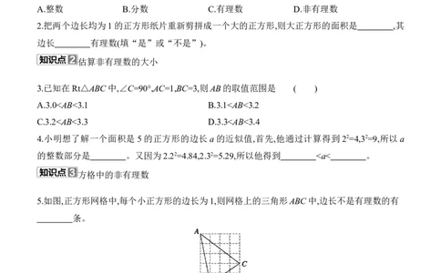 2.1　认识实数　第1课时　认识实数(1)_北师大初中数学_8上-北师大版初中数学_初中数学北师大8上-2025秋季新版_第二套推荐25_07习题试卷_同步练习_分层练习