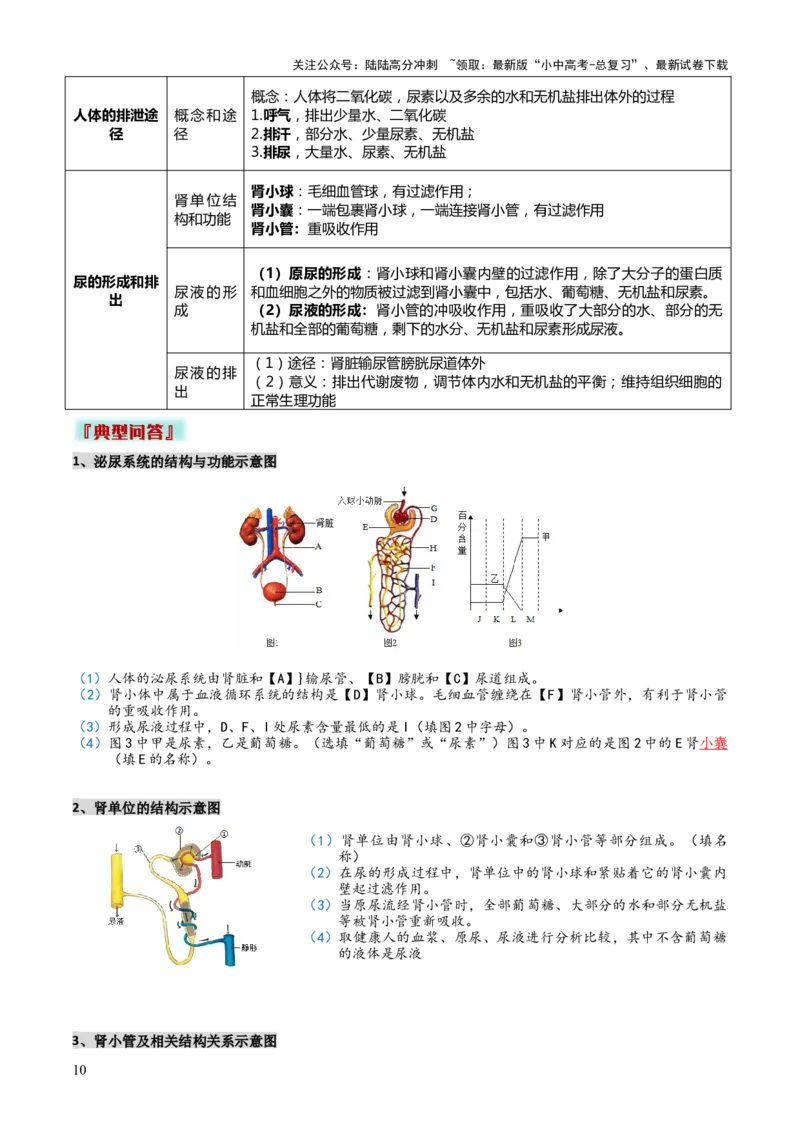 专题04人体生理与健康（一）（4大答题模板）（解析版）_02中考总复习（2026版更新中）_08-生物-中考总复习_2025中考复习资料_2025年中考生物答题方法模板