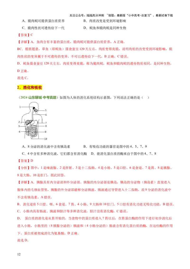 专题04人体生理与健康（一）（4大答题模板）（解析版）_02中考总复习（2026版更新中）_08-生物-中考总复习_2025中考复习资料_2025年中考生物答题方法模板