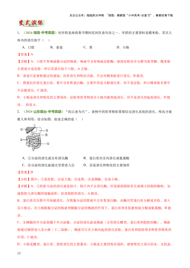 专题04人体生理与健康（一）（4大答题模板）（解析版）_02中考总复习（2026版更新中）_08-生物-中考总复习_2025中考复习资料_2025年中考生物答题方法模板