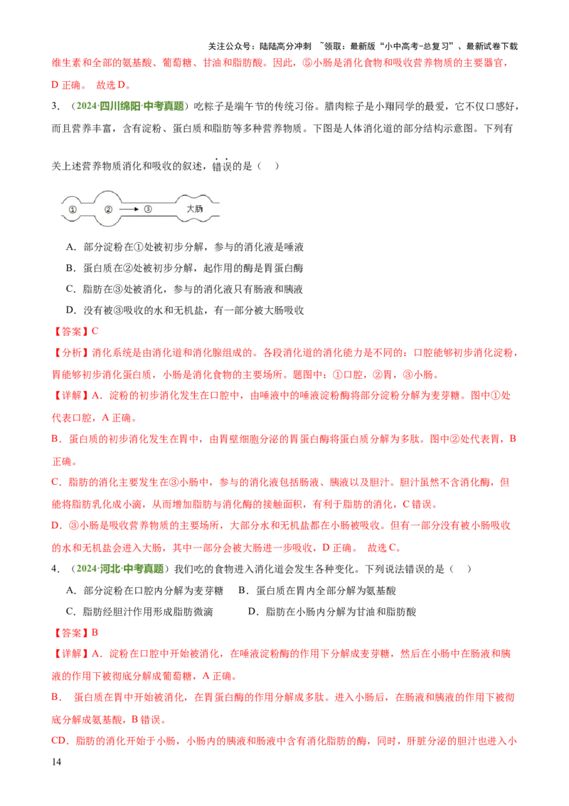 专题04人体生理与健康（一）（4大答题模板）（解析版）_02中考总复习（2026版更新中）_08-生物-中考总复习_2025中考复习资料_2025年中考生物答题方法模板