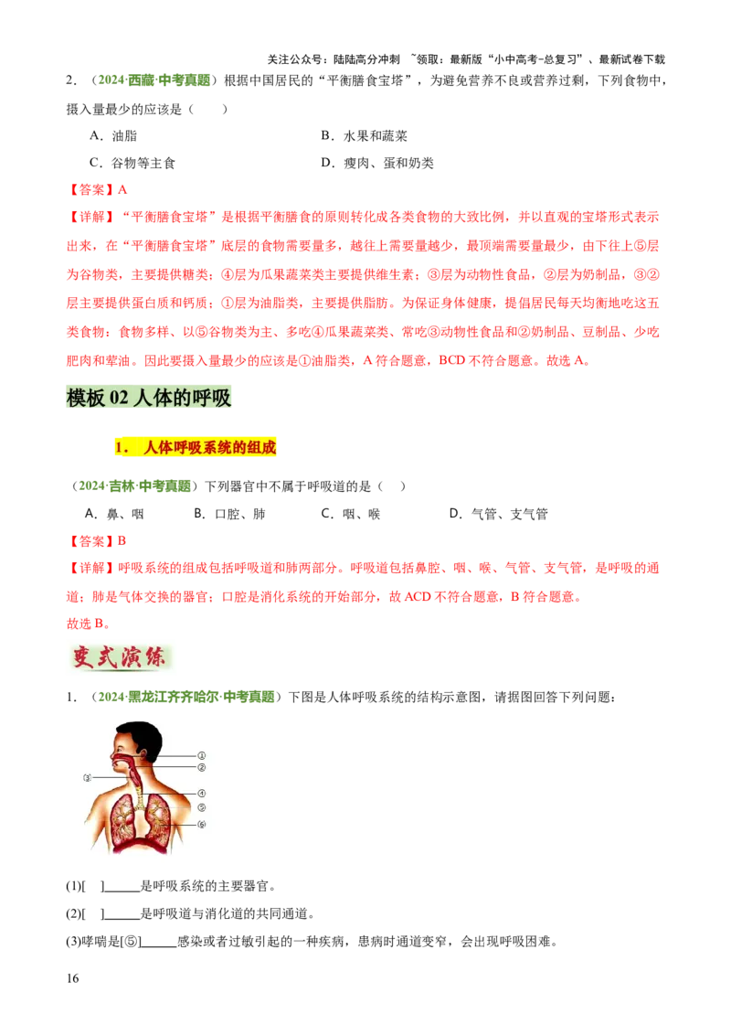 专题04人体生理与健康（一）（4大答题模板）（解析版）_02中考总复习（2026版更新中）_08-生物-中考总复习_2025中考复习资料_2025年中考生物答题方法模板