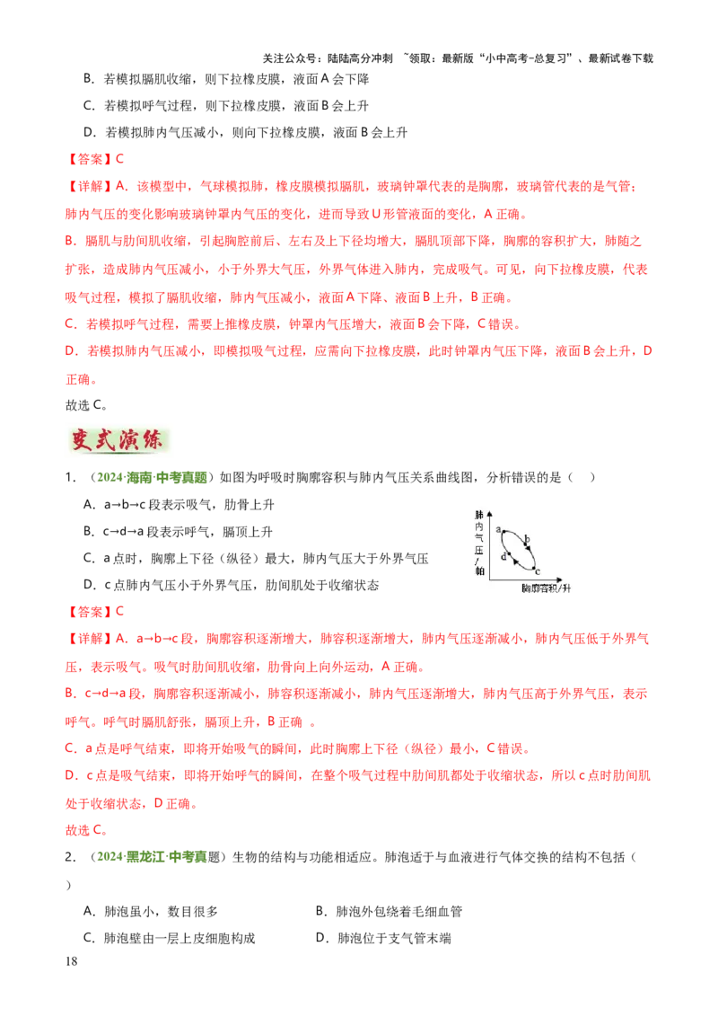 专题04人体生理与健康（一）（4大答题模板）（解析版）_02中考总复习（2026版更新中）_08-生物-中考总复习_2025中考复习资料_2025年中考生物答题方法模板