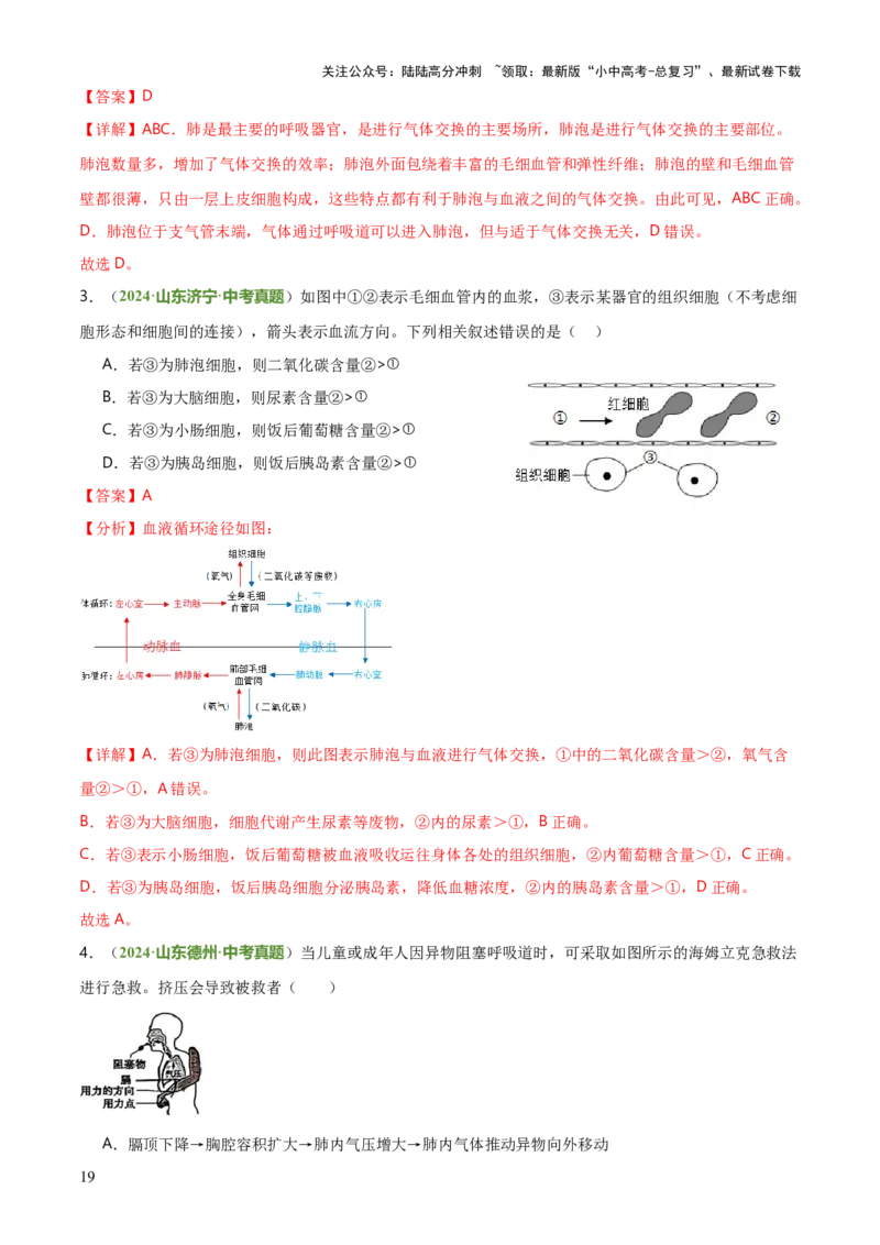 专题04人体生理与健康（一）（4大答题模板）（解析版）_02中考总复习（2026版更新中）_08-生物-中考总复习_2025中考复习资料_2025年中考生物答题方法模板
