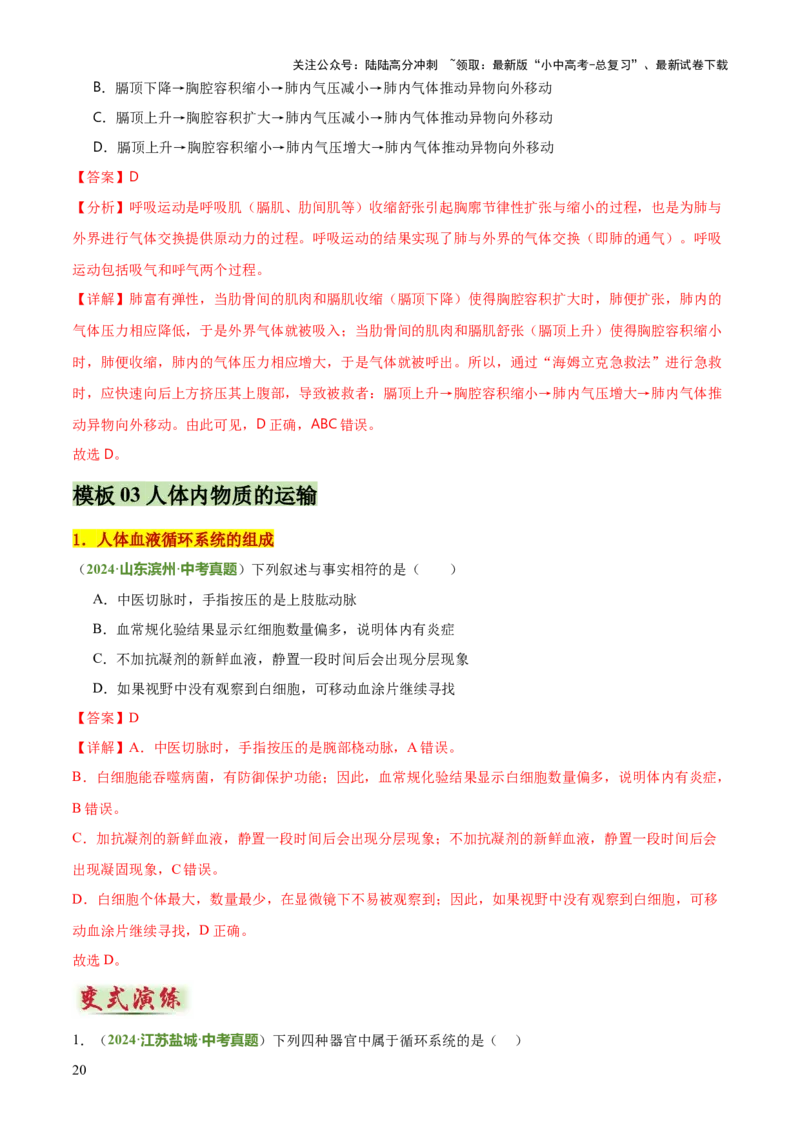 专题04人体生理与健康（一）（4大答题模板）（解析版）_02中考总复习（2026版更新中）_08-生物-中考总复习_2025中考复习资料_2025年中考生物答题方法模板
