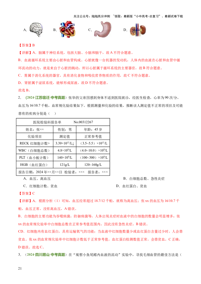 专题04人体生理与健康（一）（4大答题模板）（解析版）_02中考总复习（2026版更新中）_08-生物-中考总复习_2025中考复习资料_2025年中考生物答题方法模板