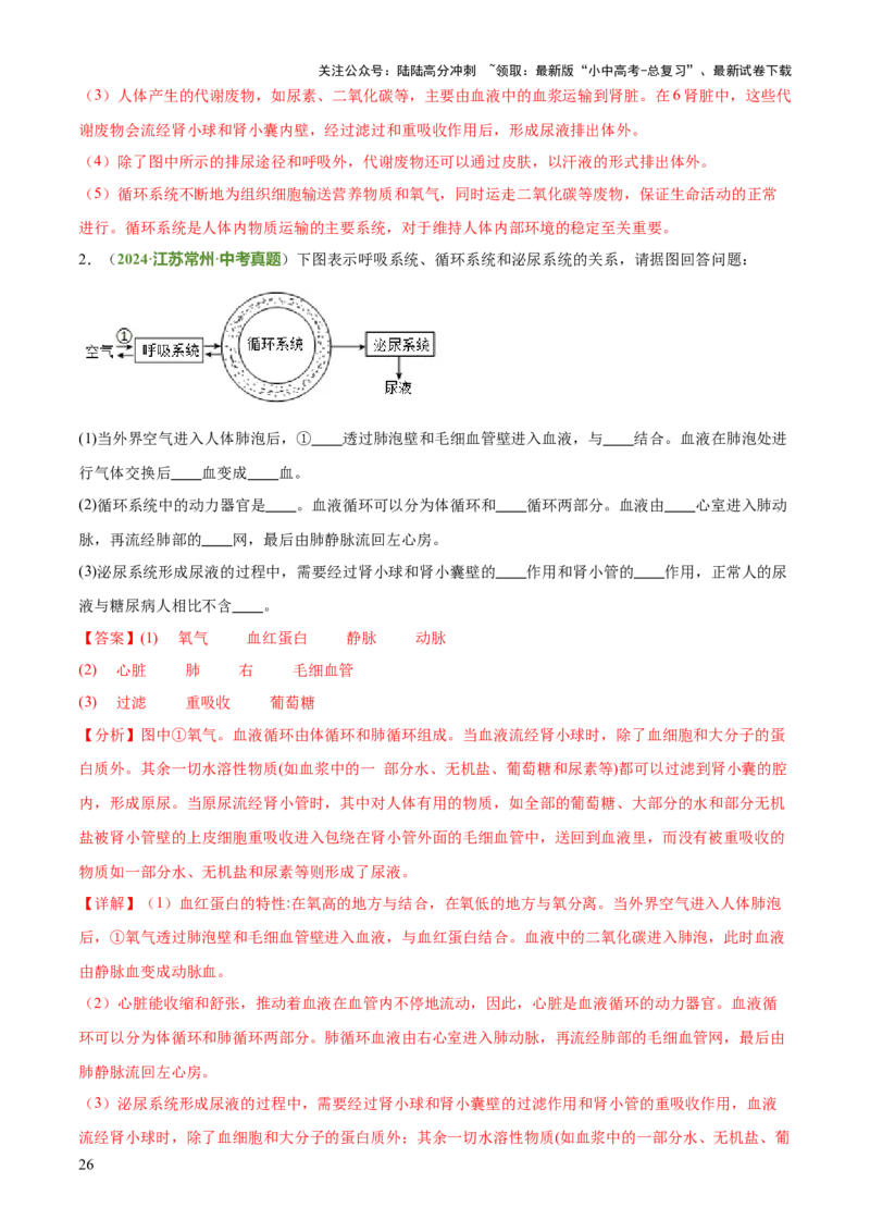 专题04人体生理与健康（一）（4大答题模板）（解析版）_02中考总复习（2026版更新中）_08-生物-中考总复习_2025中考复习资料_2025年中考生物答题方法模板