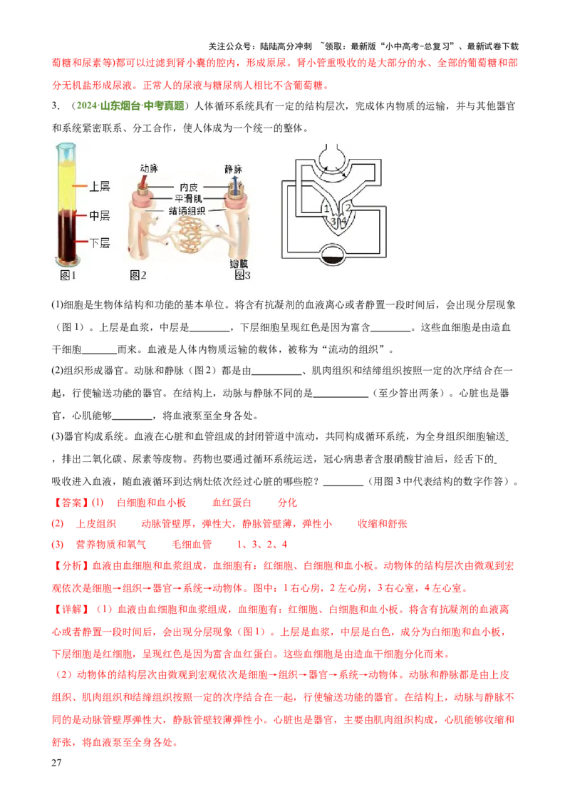 专题04人体生理与健康（一）（4大答题模板）（解析版）_02中考总复习（2026版更新中）_08-生物-中考总复习_2025中考复习资料_2025年中考生物答题方法模板