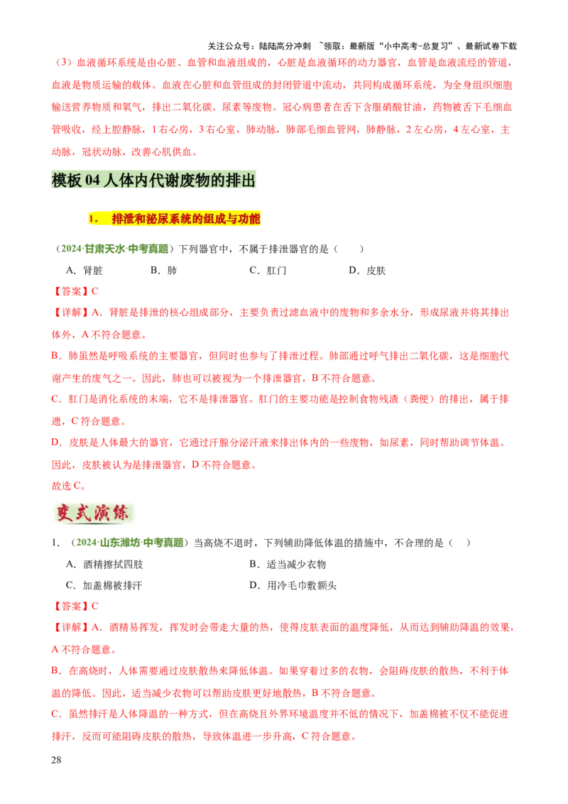 专题04人体生理与健康（一）（4大答题模板）（解析版）_02中考总复习（2026版更新中）_08-生物-中考总复习_2025中考复习资料_2025年中考生物答题方法模板