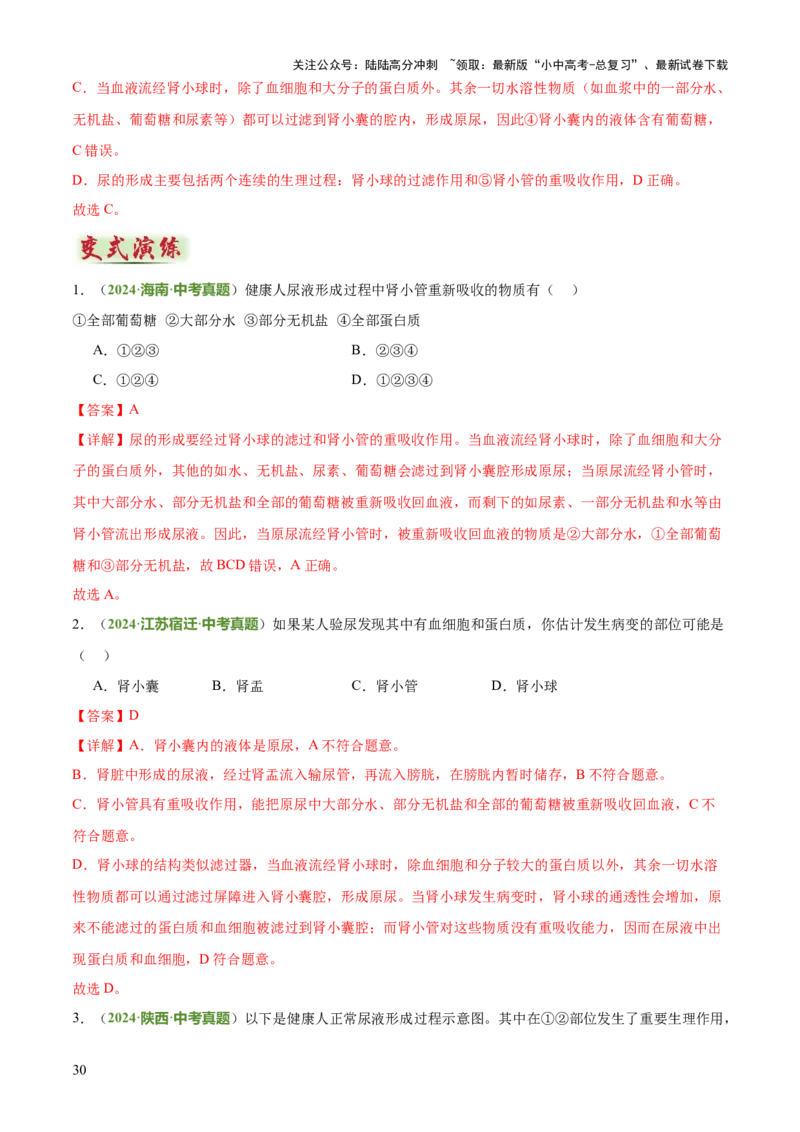 专题04人体生理与健康（一）（4大答题模板）（解析版）_02中考总复习（2026版更新中）_08-生物-中考总复习_2025中考复习资料_2025年中考生物答题方法模板