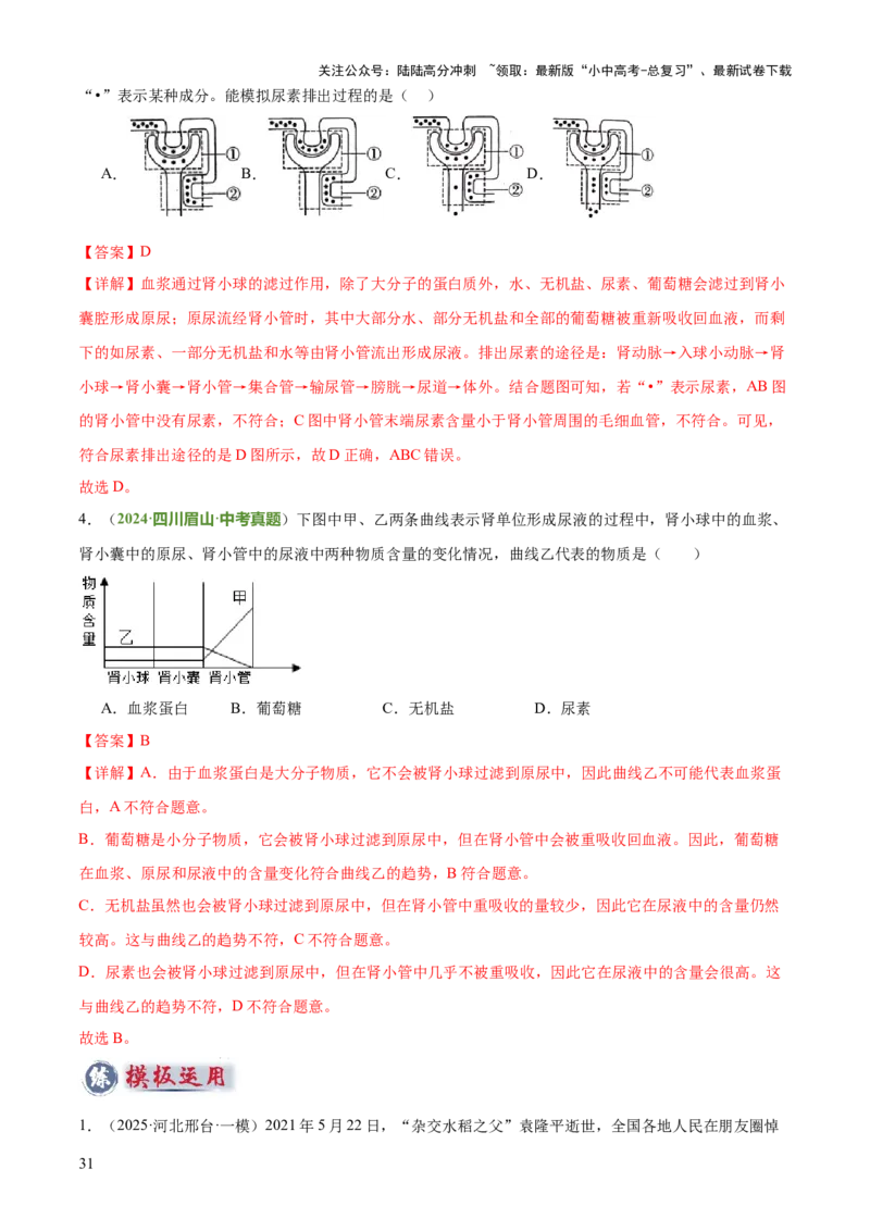 专题04人体生理与健康（一）（4大答题模板）（解析版）_02中考总复习（2026版更新中）_08-生物-中考总复习_2025中考复习资料_2025年中考生物答题方法模板