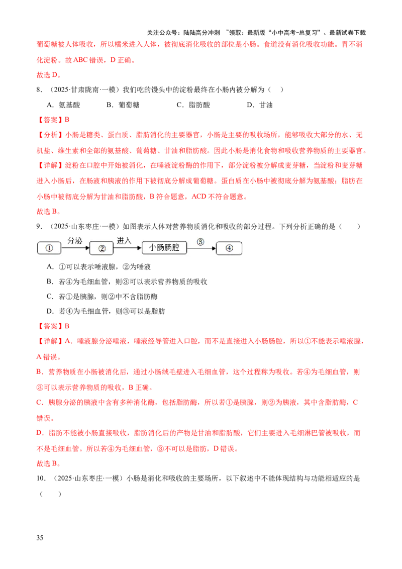 专题04人体生理与健康（一）（4大答题模板）（解析版）_02中考总复习（2026版更新中）_08-生物-中考总复习_2025中考复习资料_2025年中考生物答题方法模板