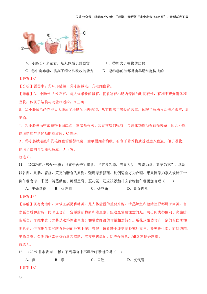 专题04人体生理与健康（一）（4大答题模板）（解析版）_02中考总复习（2026版更新中）_08-生物-中考总复习_2025中考复习资料_2025年中考生物答题方法模板