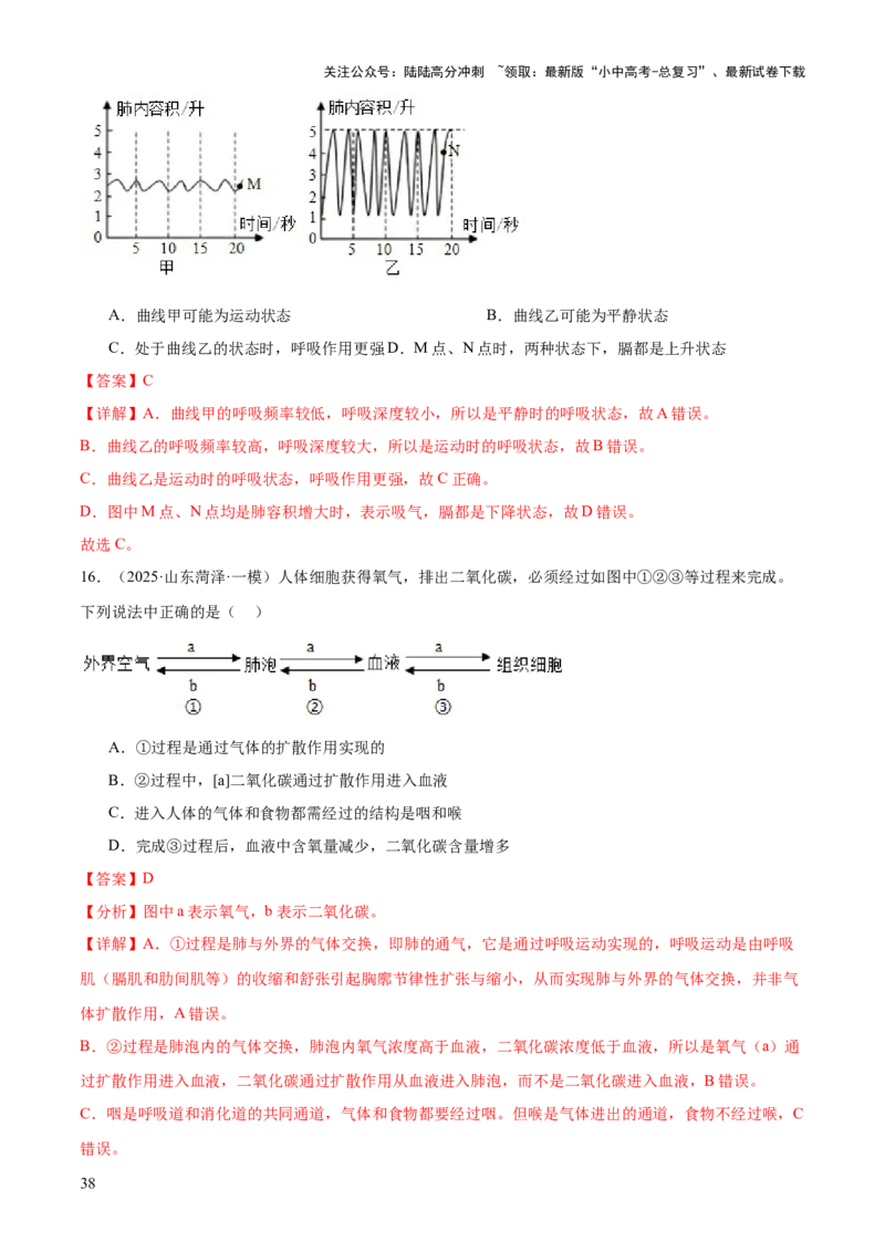 专题04人体生理与健康（一）（4大答题模板）（解析版）_02中考总复习（2026版更新中）_08-生物-中考总复习_2025中考复习资料_2025年中考生物答题方法模板