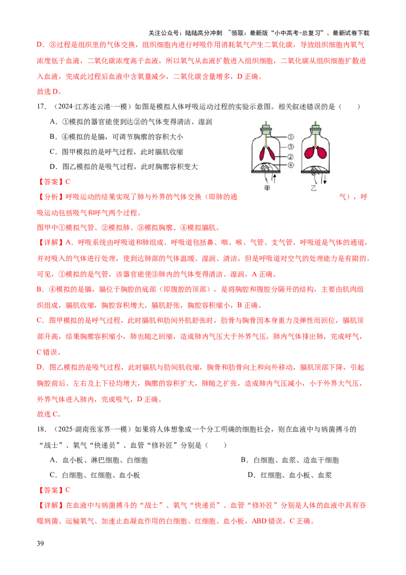 专题04人体生理与健康（一）（4大答题模板）（解析版）_02中考总复习（2026版更新中）_08-生物-中考总复习_2025中考复习资料_2025年中考生物答题方法模板