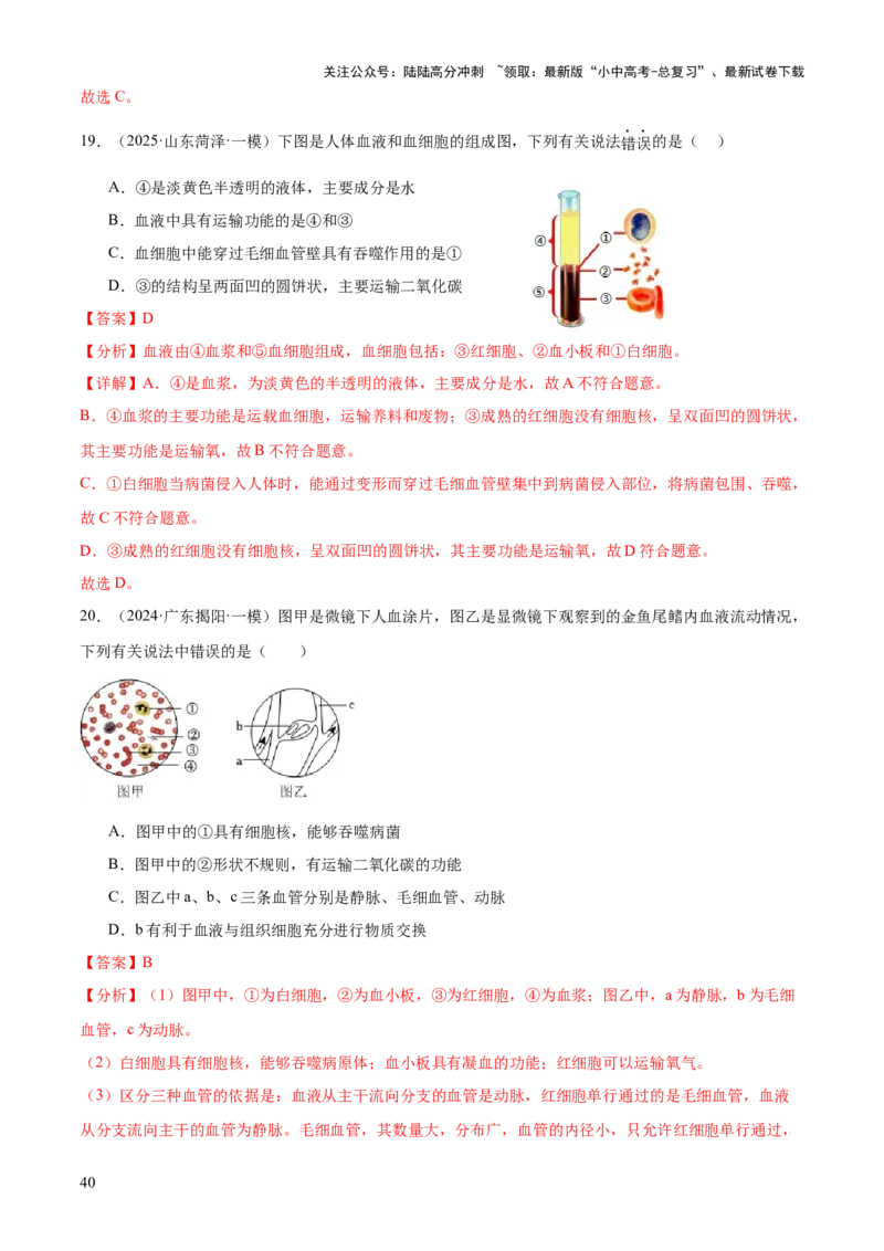 专题04人体生理与健康（一）（4大答题模板）（解析版）_02中考总复习（2026版更新中）_08-生物-中考总复习_2025中考复习资料_2025年中考生物答题方法模板