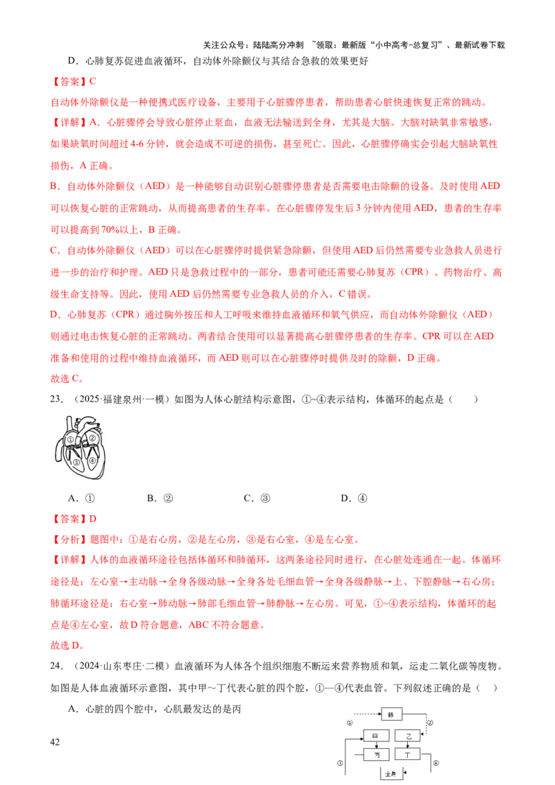 专题04人体生理与健康（一）（4大答题模板）（解析版）_02中考总复习（2026版更新中）_08-生物-中考总复习_2025中考复习资料_2025年中考生物答题方法模板