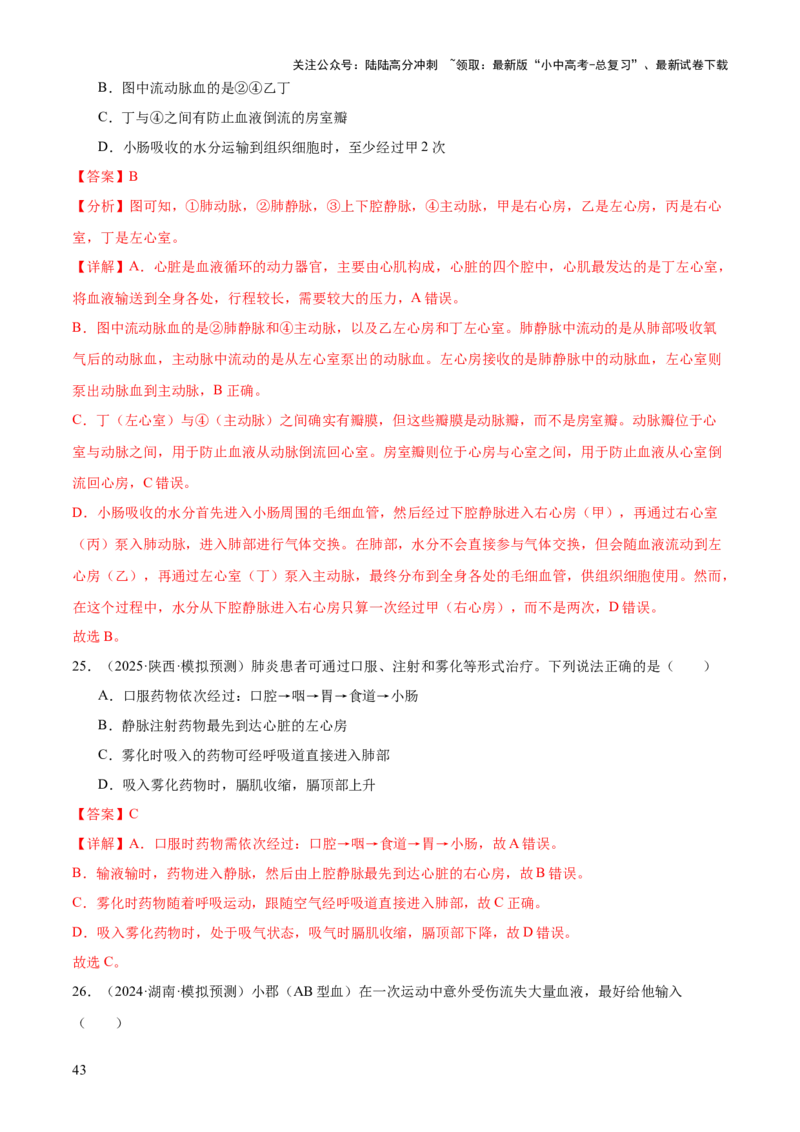 专题04人体生理与健康（一）（4大答题模板）（解析版）_02中考总复习（2026版更新中）_08-生物-中考总复习_2025中考复习资料_2025年中考生物答题方法模板