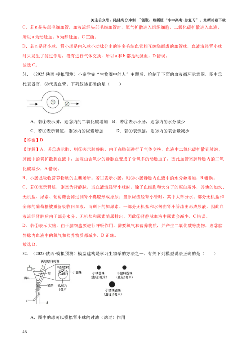 专题04人体生理与健康（一）（4大答题模板）（解析版）_02中考总复习（2026版更新中）_08-生物-中考总复习_2025中考复习资料_2025年中考生物答题方法模板