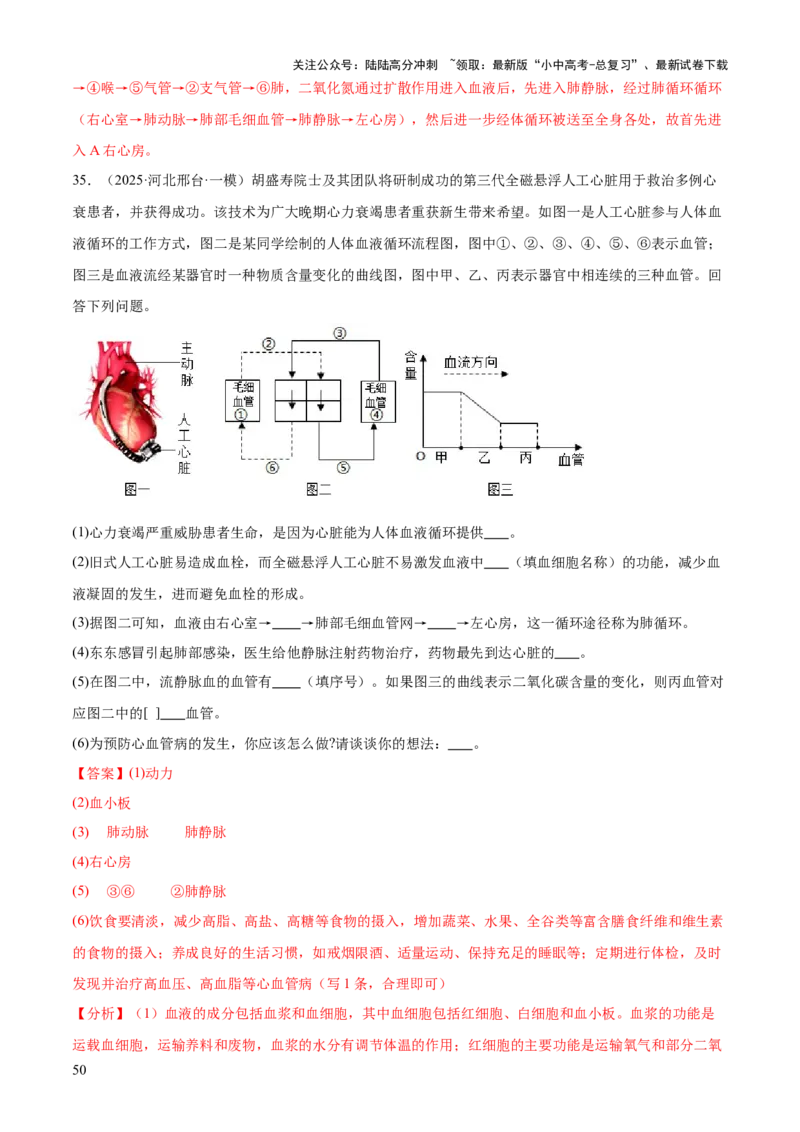 专题04人体生理与健康（一）（4大答题模板）（解析版）_02中考总复习（2026版更新中）_08-生物-中考总复习_2025中考复习资料_2025年中考生物答题方法模板