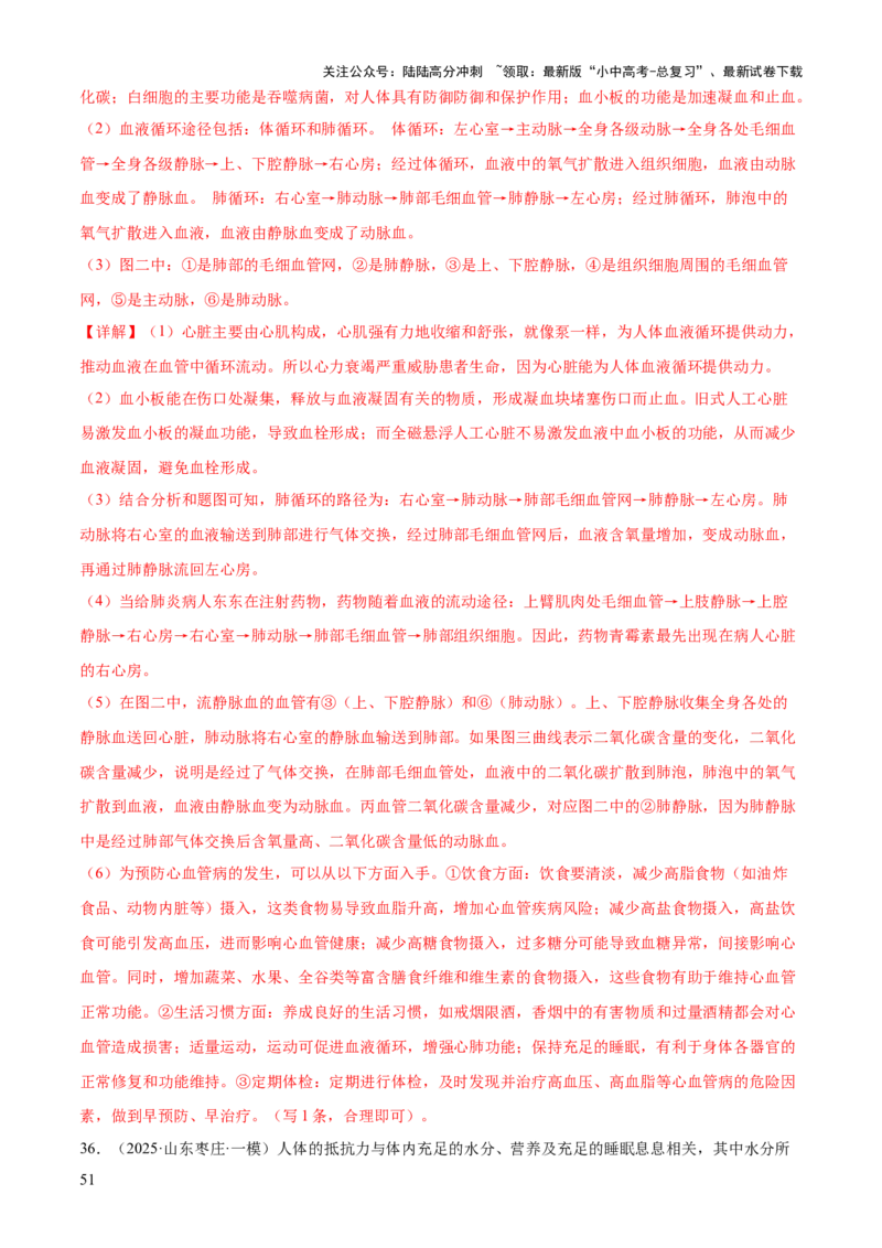专题04人体生理与健康（一）（4大答题模板）（解析版）_02中考总复习（2026版更新中）_08-生物-中考总复习_2025中考复习资料_2025年中考生物答题方法模板