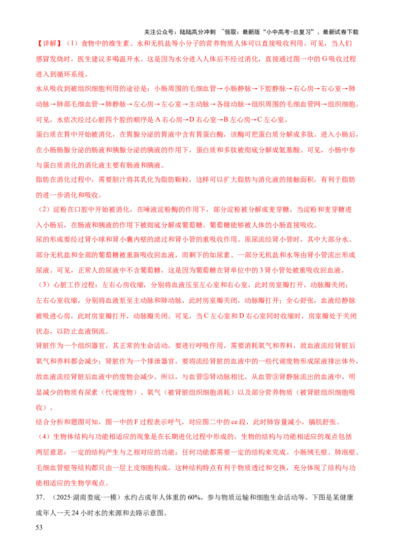 专题04人体生理与健康（一）（4大答题模板）（解析版）_02中考总复习（2026版更新中）_08-生物-中考总复习_2025中考复习资料_2025年中考生物答题方法模板