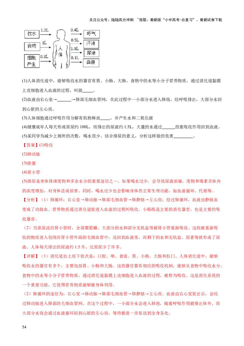 专题04人体生理与健康（一）（4大答题模板）（解析版）_02中考总复习（2026版更新中）_08-生物-中考总复习_2025中考复习资料_2025年中考生物答题方法模板
