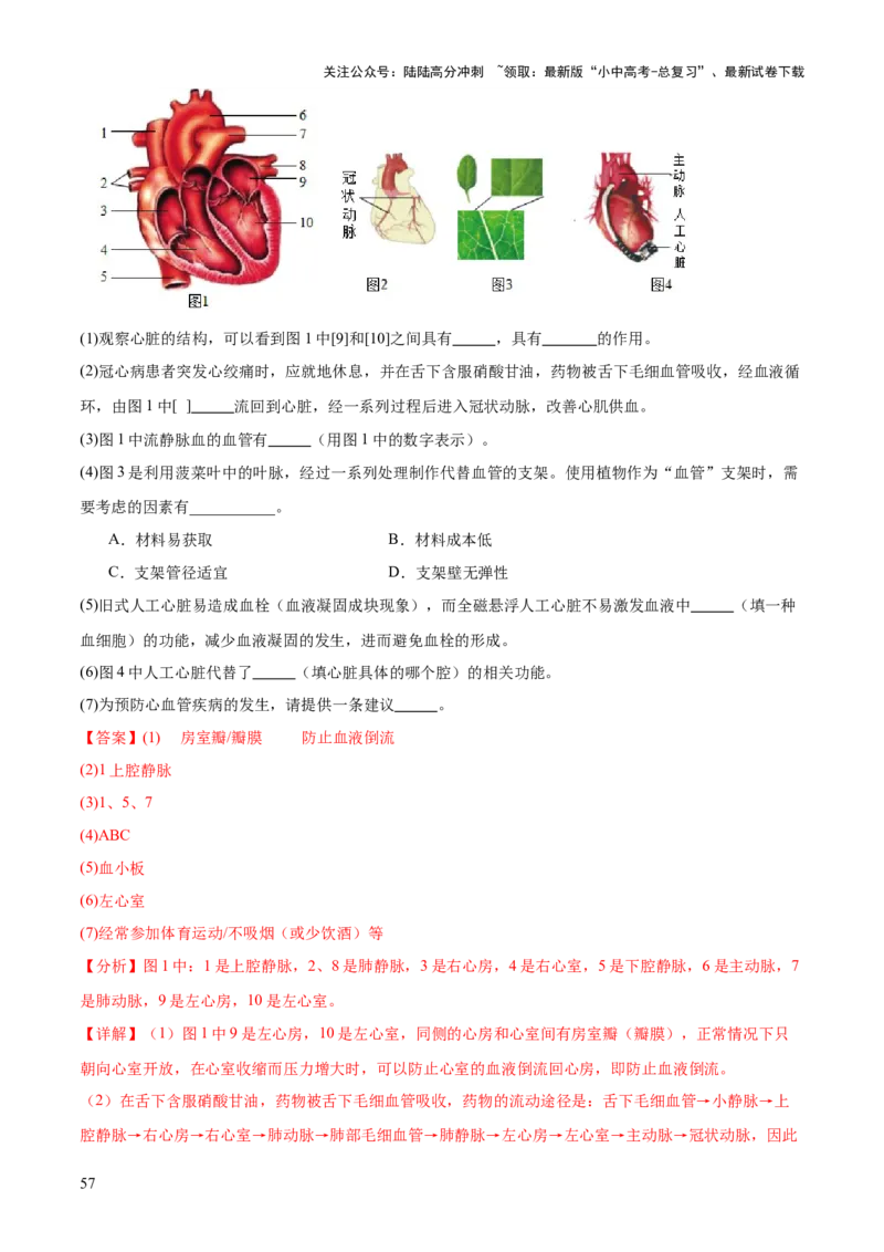 专题04人体生理与健康（一）（4大答题模板）（解析版）_02中考总复习（2026版更新中）_08-生物-中考总复习_2025中考复习资料_2025年中考生物答题方法模板